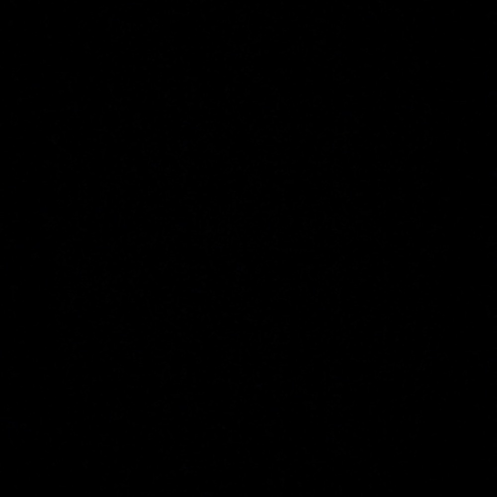 Meet your Posher, Baylee